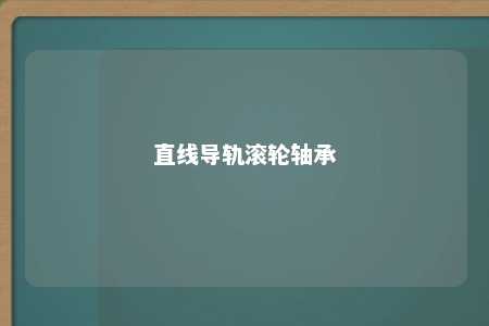 直线导轨滚轮轴承 